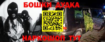крисы Лесосибирск