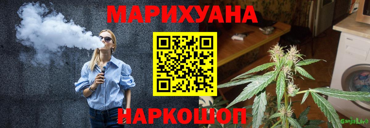 Конопля гибрид Йошкар-Ола